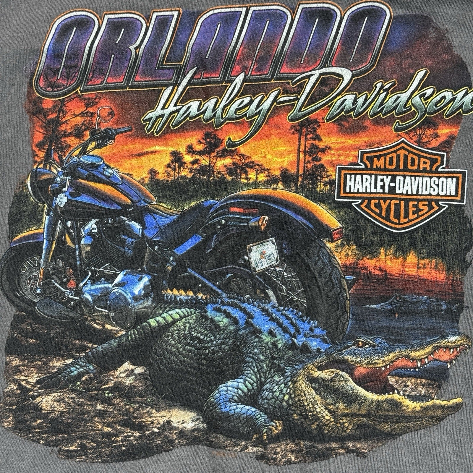 Harley Davidson Motorcycles T-Shirt mens S/M Gray Orlando Alligator