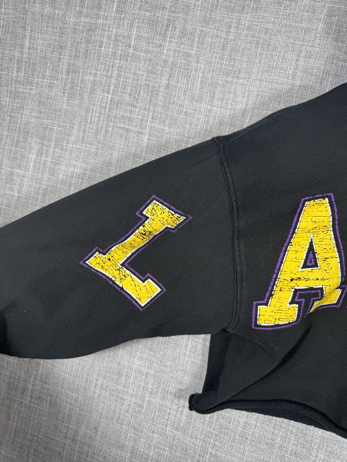 NBA Lakers Y2K Crop Top Hoodie Womens Small Black