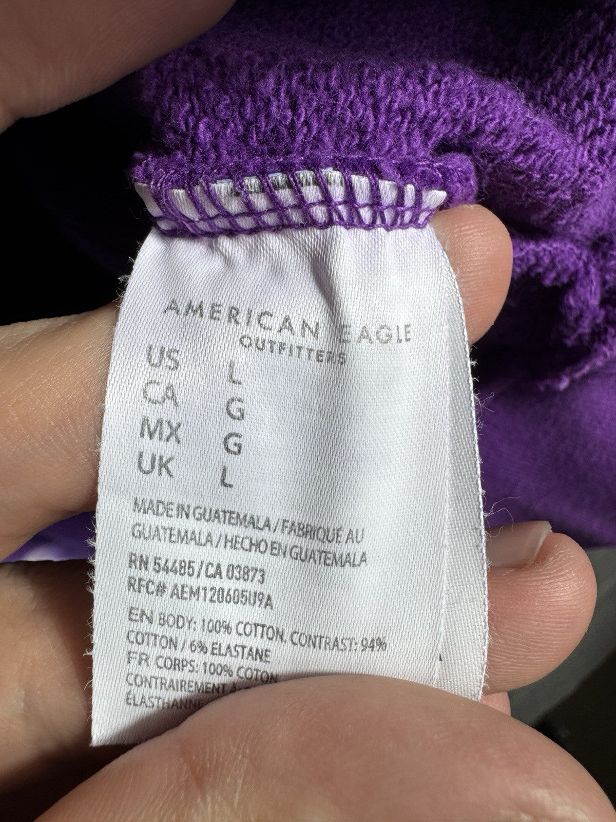 American Eagle x Young Money Tie Dye Hoodie Men’s Large Pullover Lil Wayne Rap