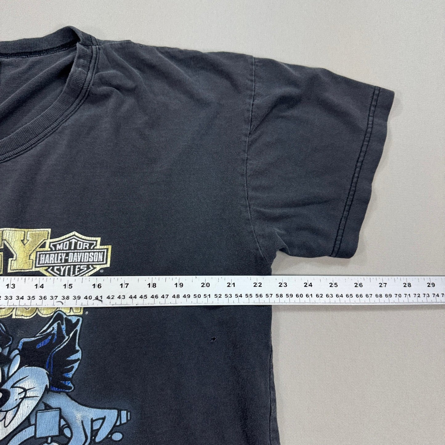 Vintage 90s Harley Davidson Taz T-Shirt Looney Tunes Graphic Print Mens XL Black