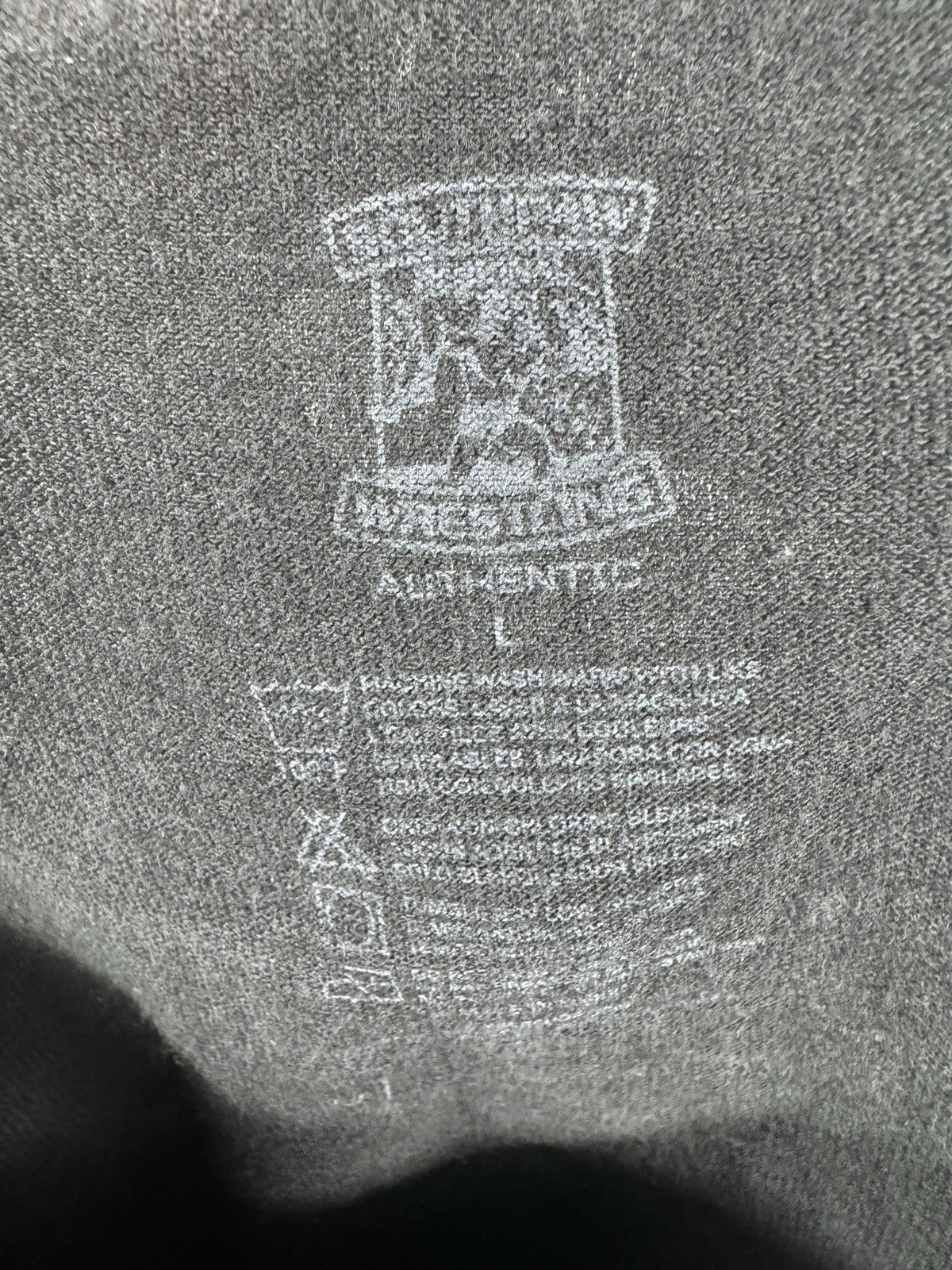 Vintage WWE Lethal Leap Year Southpaw Regional Wrestling T Shirt Size Large